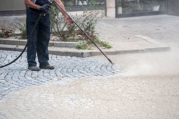 Best Gutter Cleaning  in Verona, WI